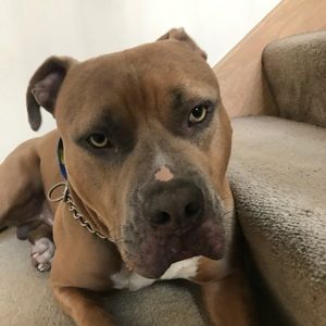 Meet your Posher, Roberto